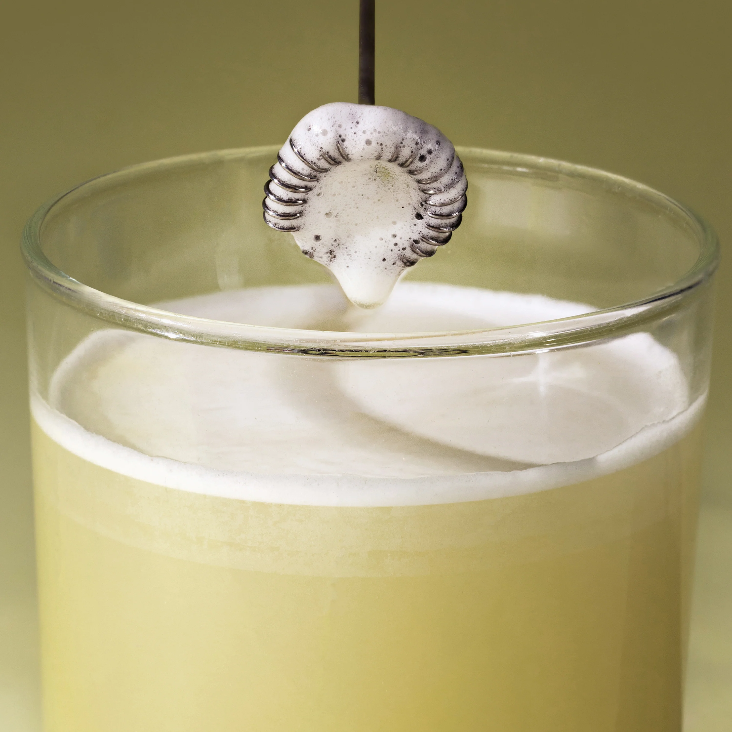 Lean+ Powder Formula - Image 4